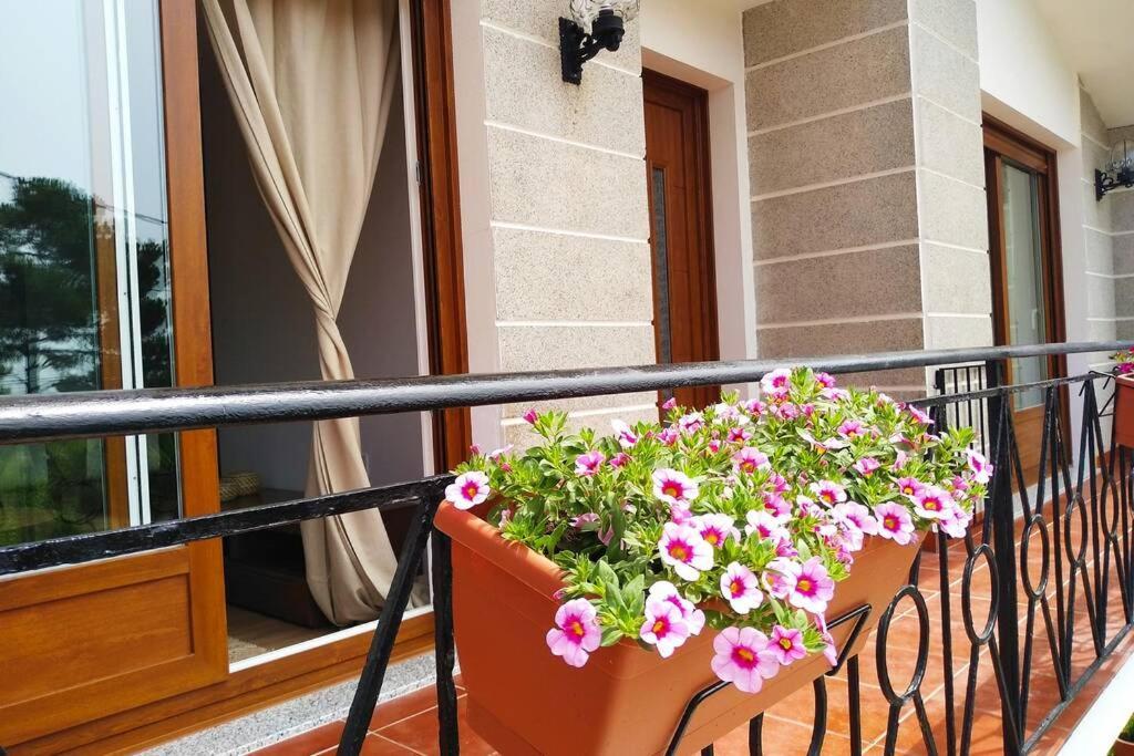 Apartamento Teresa 폰테베드라 외부 사진